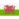 Pays de Galles U21