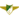 Moreirense