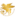 Pro Duta